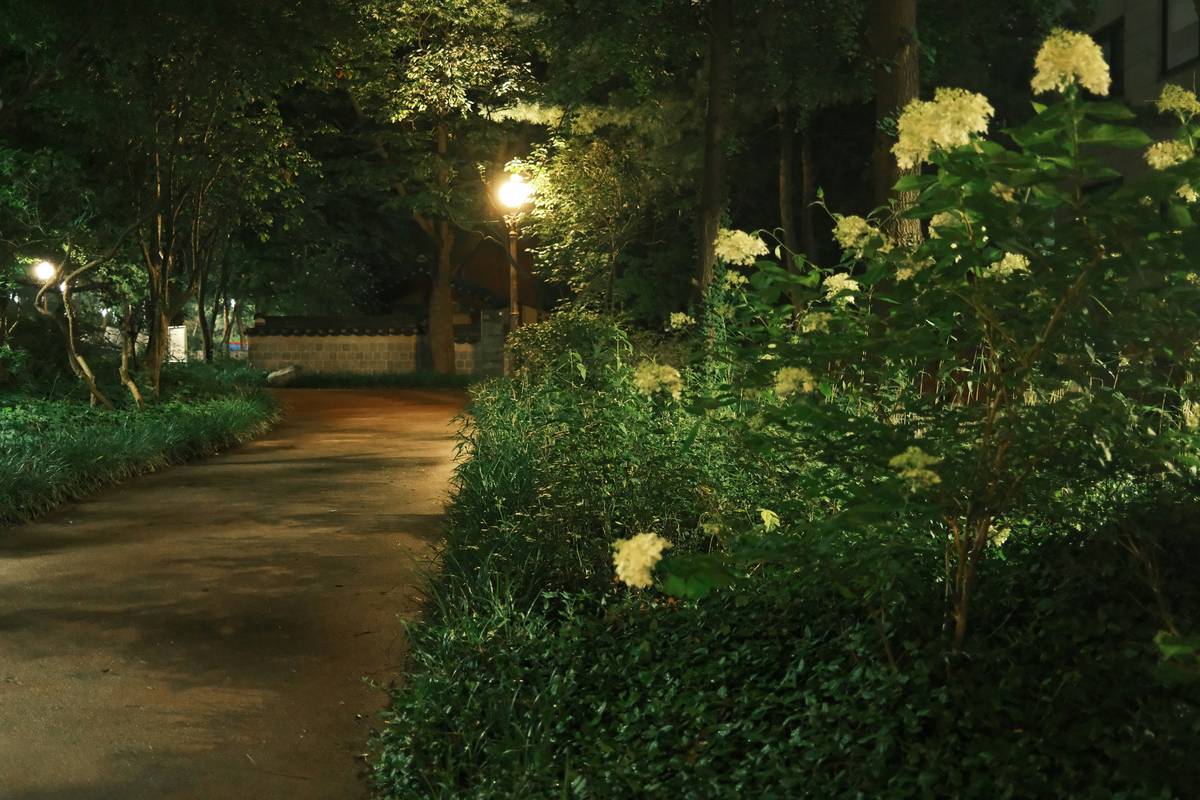 outdoor garden lighting malaysia installed along a cobblestone garden path beside potted ferns and limestone edging