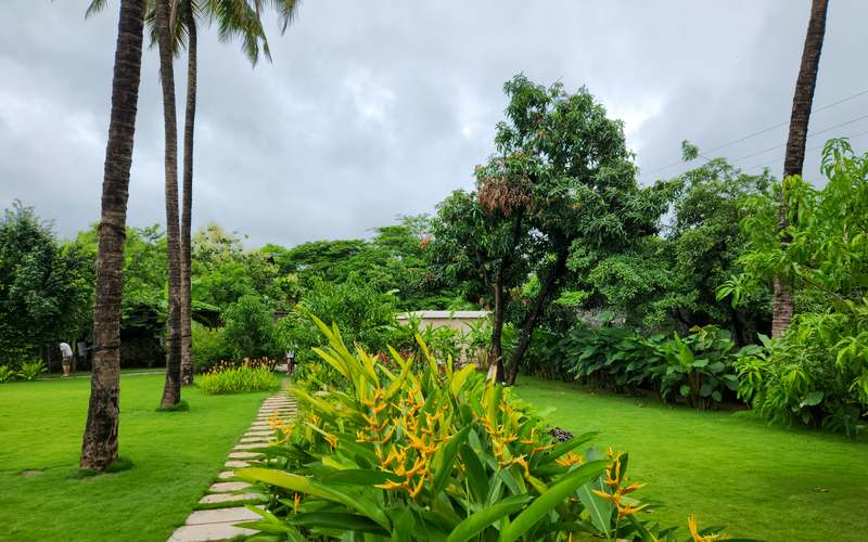 Overhead view of a curved stone garden path winding through lush greenery and flowering plants